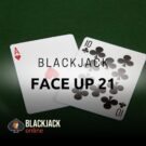 Face up 21 Blackjack